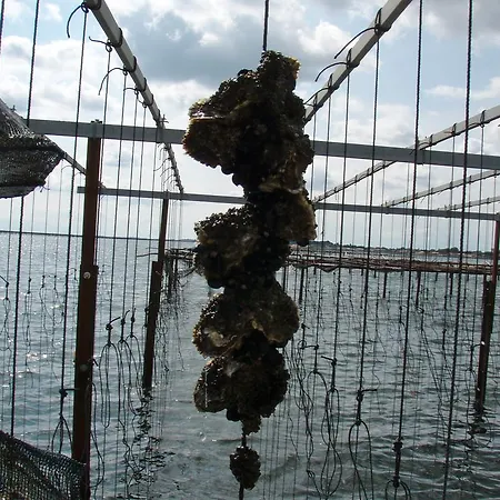Pergola Le Pouget